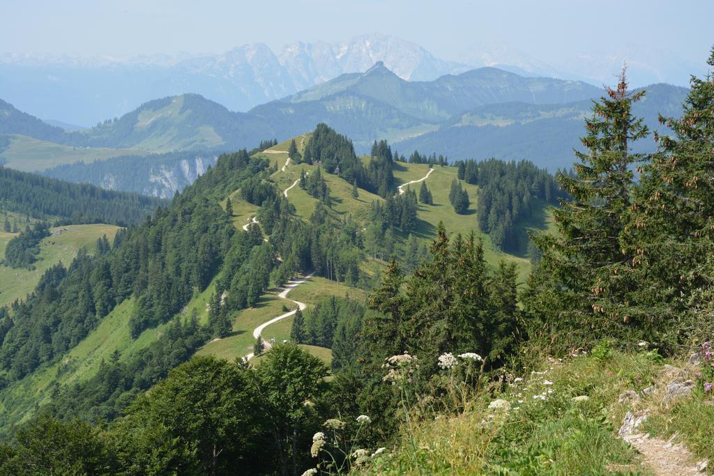 Appart Weisse Urlauben Am Wolfgangsee Sankt Gilgen Eksteriør bilde